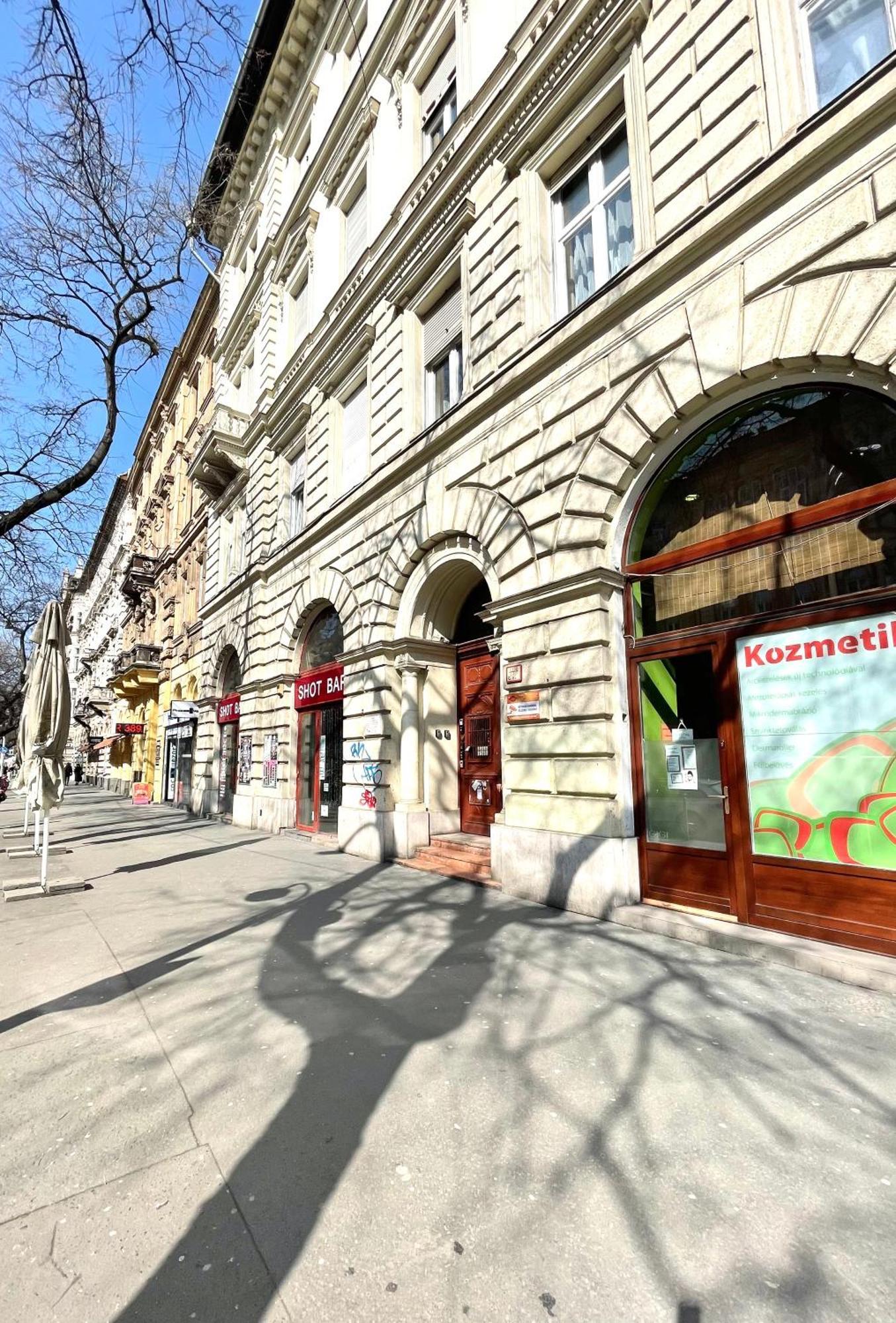 Amazing Swedish 3 Rooms Apartment In The City Center Budapest Eksteriør billede